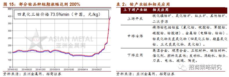 半岛综合体育【招商策略】物以稀为贵——稀贵资源投资正当时(图10)